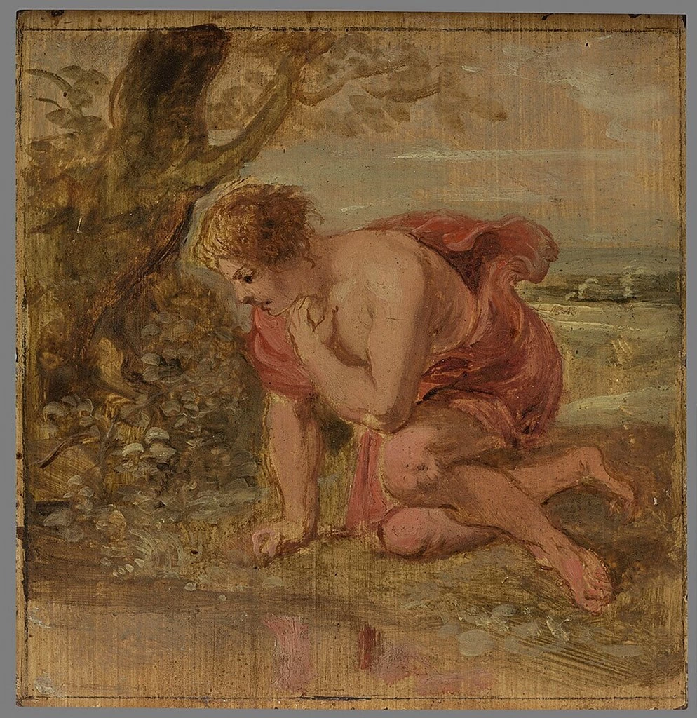 Narciso si innamora del proprio riflesso - Museum Boijmans Van Beuningen, Rotterdam